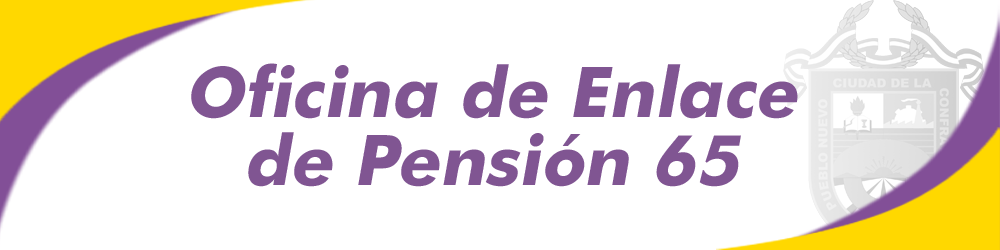 Oficina de Enlace de Pensión 65